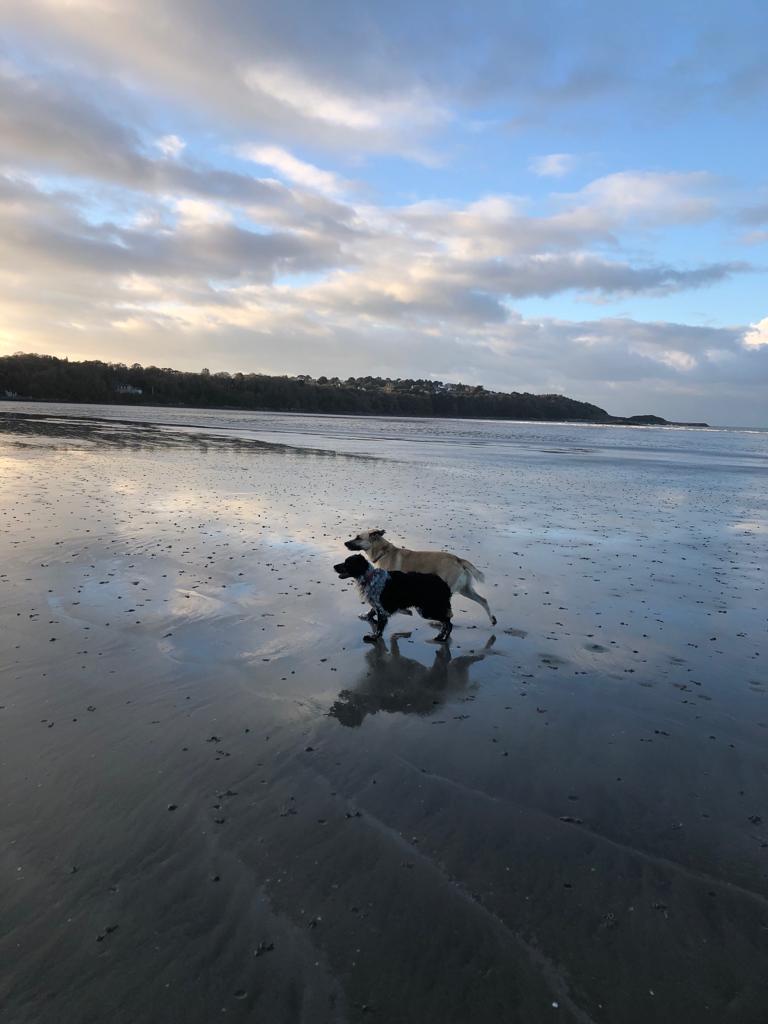 Odin et Gaumeizh sur la plage