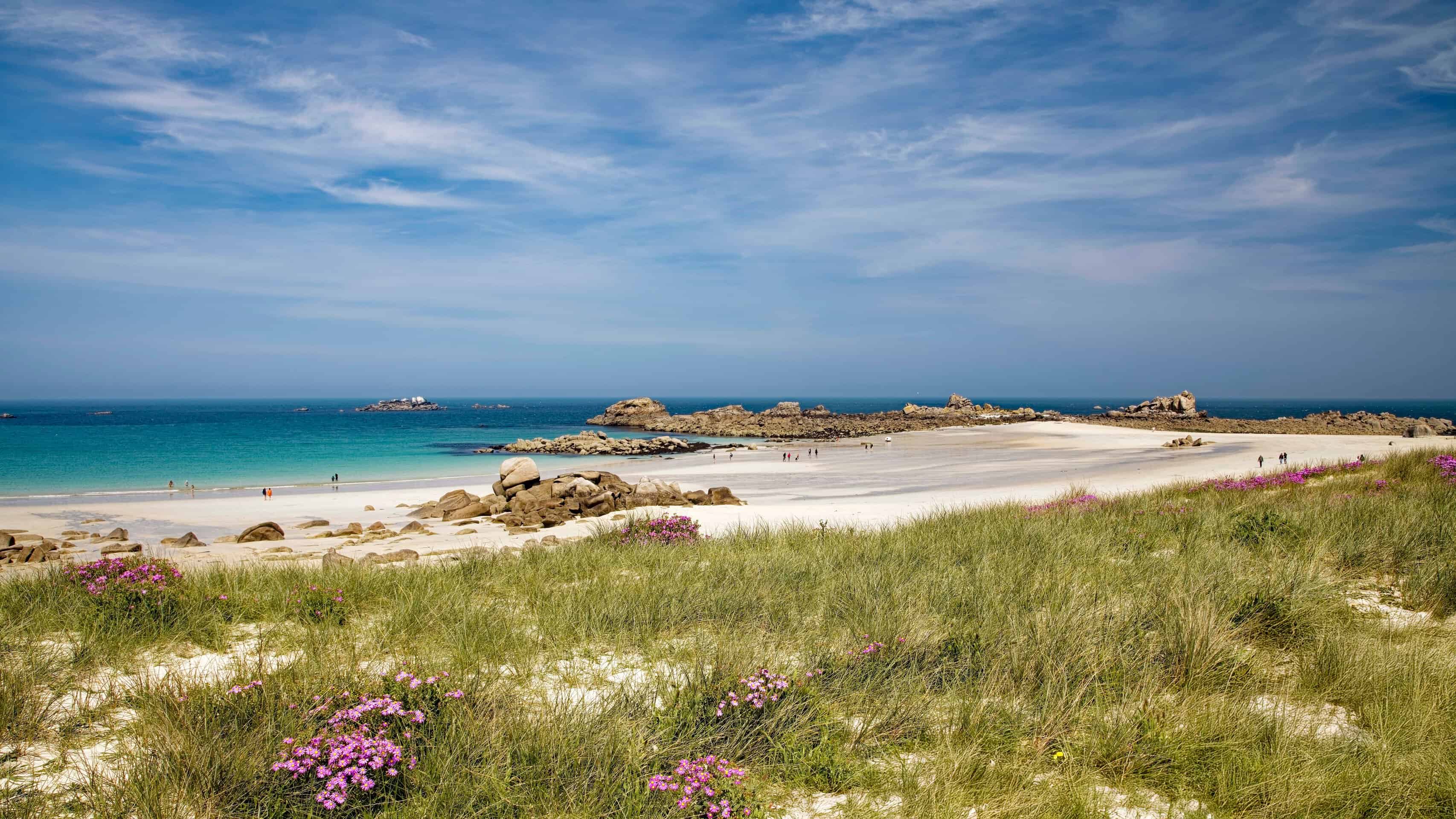 Plage de sable clair bordée de dunes, de rochers et de fleurs roses, sous un ciel bleu